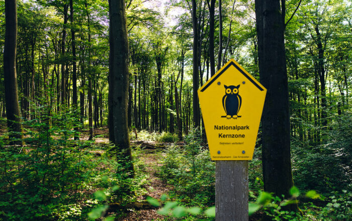 Wirtschaftsfaktor Nationalpark?